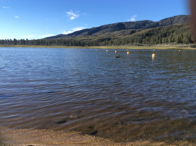 A photo of Lake Hemet